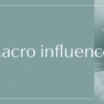 macro influencers