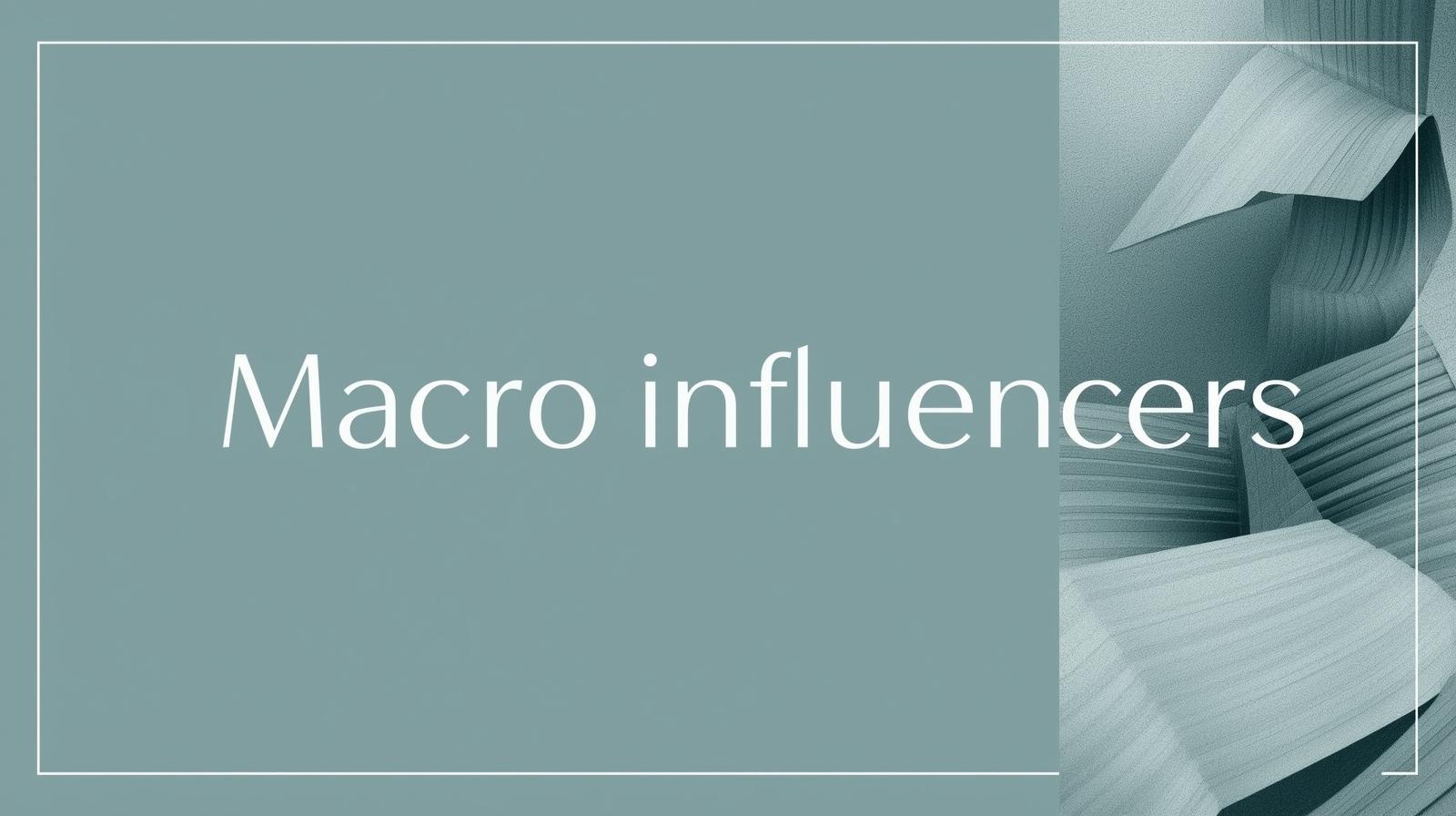 macro influencers